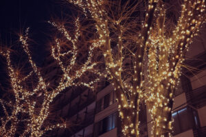 写真作品