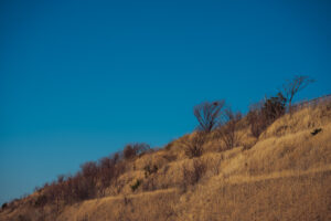 写真作品