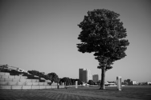 写真作品