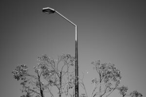 写真作品