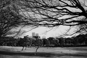 写真作品