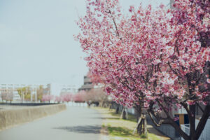 写真作品