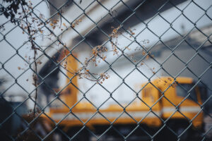 写真作品