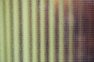 写真作品