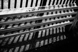 写真作品