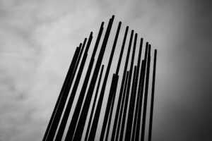 写真作品