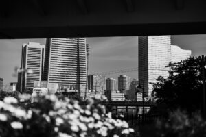 写真作品