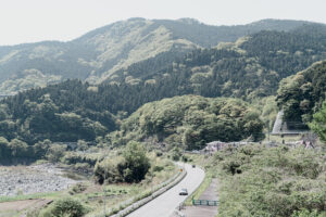 写真作品