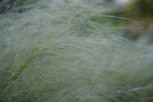 写真作品