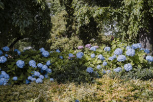 写真作品