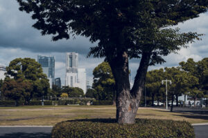 写真作品