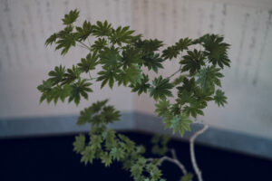 写真作品