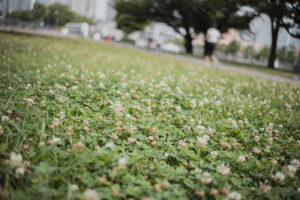 写真作品