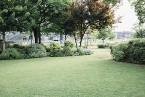 写真作品
