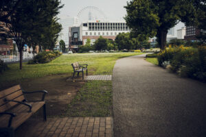 写真作品