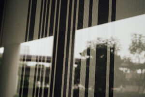 写真作品