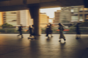 写真作品
