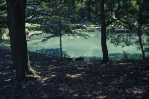 写真作品