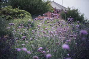 写真作品