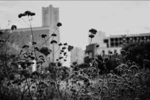 写真作品