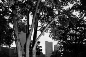 写真作品