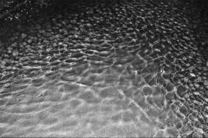 写真作品
