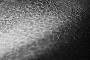 写真作品