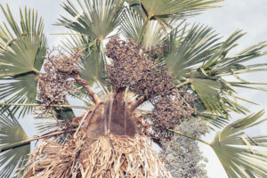 写真作品