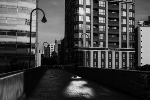写真作品