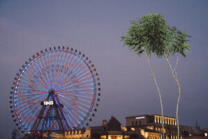 写真作品