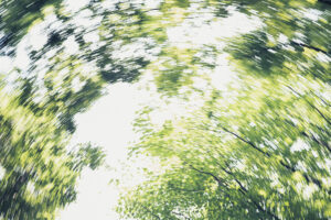 写真作品