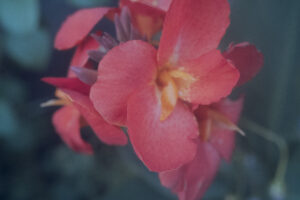 写真作品