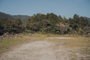 写真作品