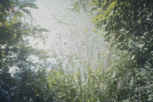 写真作品