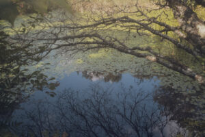 写真作品