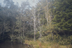 写真作品