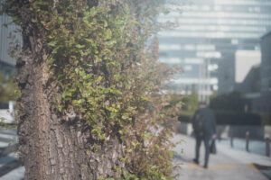 写真作品