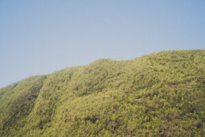 写真作品