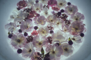 写真作品