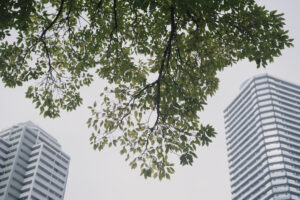 写真作品