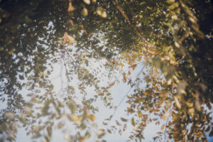 写真作品