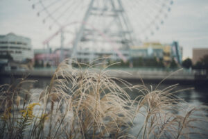 写真作品
