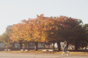 写真作品