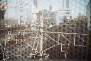 写真作品