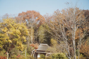 写真作品