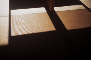 写真作品