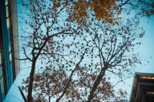 写真作品