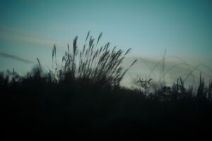 写真作品