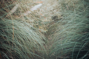 写真作品