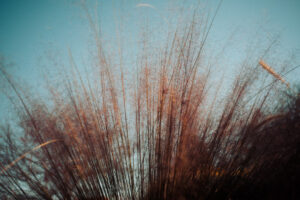 写真作品
